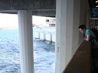 IMG 2374